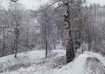 Lesní cesta Dřínová - Nad paloukem nedaleko Slučí studánky v zimě