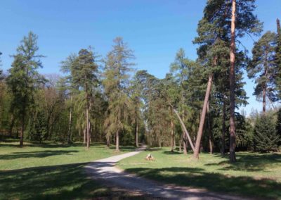 Arbara herbejeto ne for de la arboreto en Řícmanice