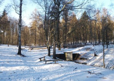 Lesní cesta Doubská - palouk U Srnce - pohled na studánku v zimě