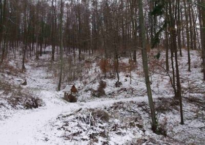 Pěšina Karla Morávka - Melatínská studánka v zimě