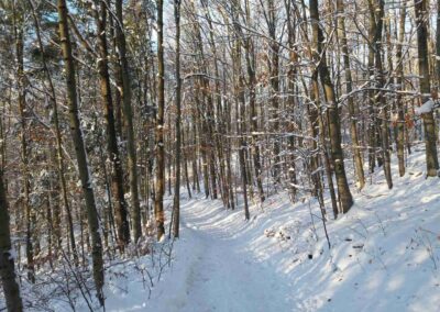 Vojeto de belvidejo Alexandrovka al disvojiĝo U sedmi dubů (Ĉe sep kverkoj), verda turisma traceo