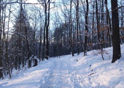 Vojeto de belvidejo Alexandrovka al disvojiĝo U sedmi dubů (Ĉe sep kverkoj), verda turisma traceo