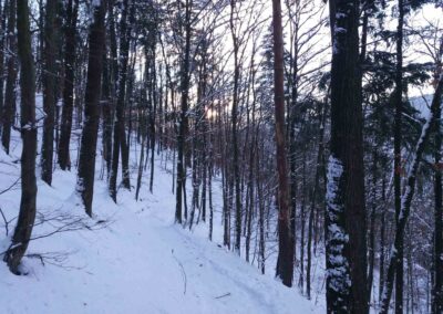 Vojeto disvojiĝo U sedmi dubů (Ĉe sep kverkoj) al Adamov en vintro, tute ne taŭga por infanĉaroj