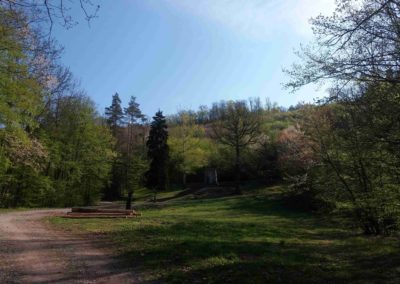 Sub monumento de la torturitaj arbaristoj