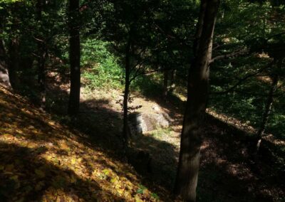 Pohled na studánku Pod Jasanem z cesty