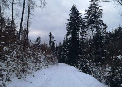 Rosenauerova cesta v zimě