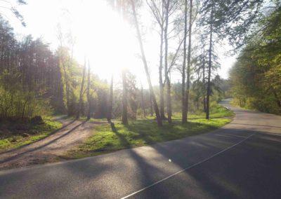 Rosenauerova cesta - pohled z východu od silnice na Babice