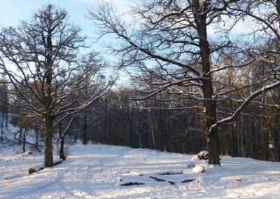 Disvojiĝo U sedmi dubů (Ĉe sep kverkoj) en vintro