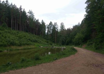 Akva rezervujo Mates en malsupra parto de la arbara vojo Rakovec