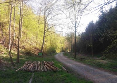 Začátek / konec lesní cesty Hradská v údolí Svitavy